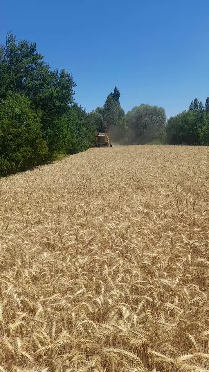 @YAVUZ TARIM🌻🌾🌾🇹🇷🚜