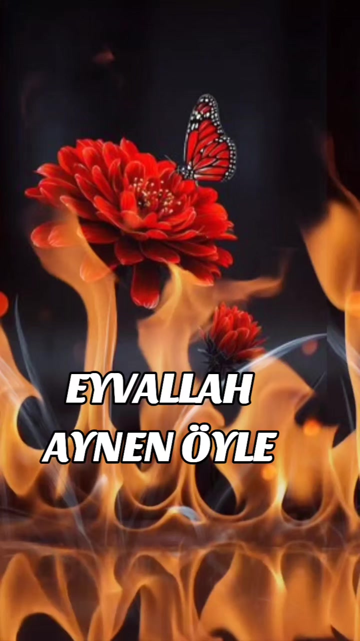 @👉 Avşar 👉 Kızı 💯