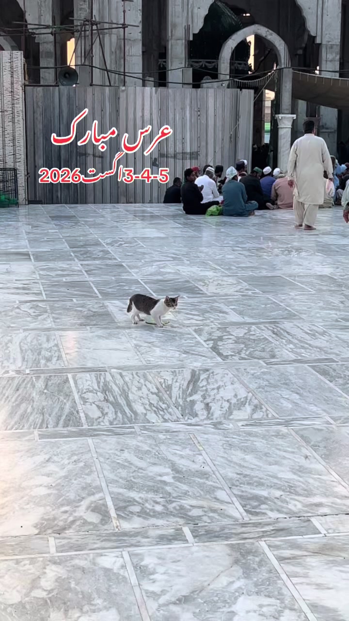 @مانی Net والا