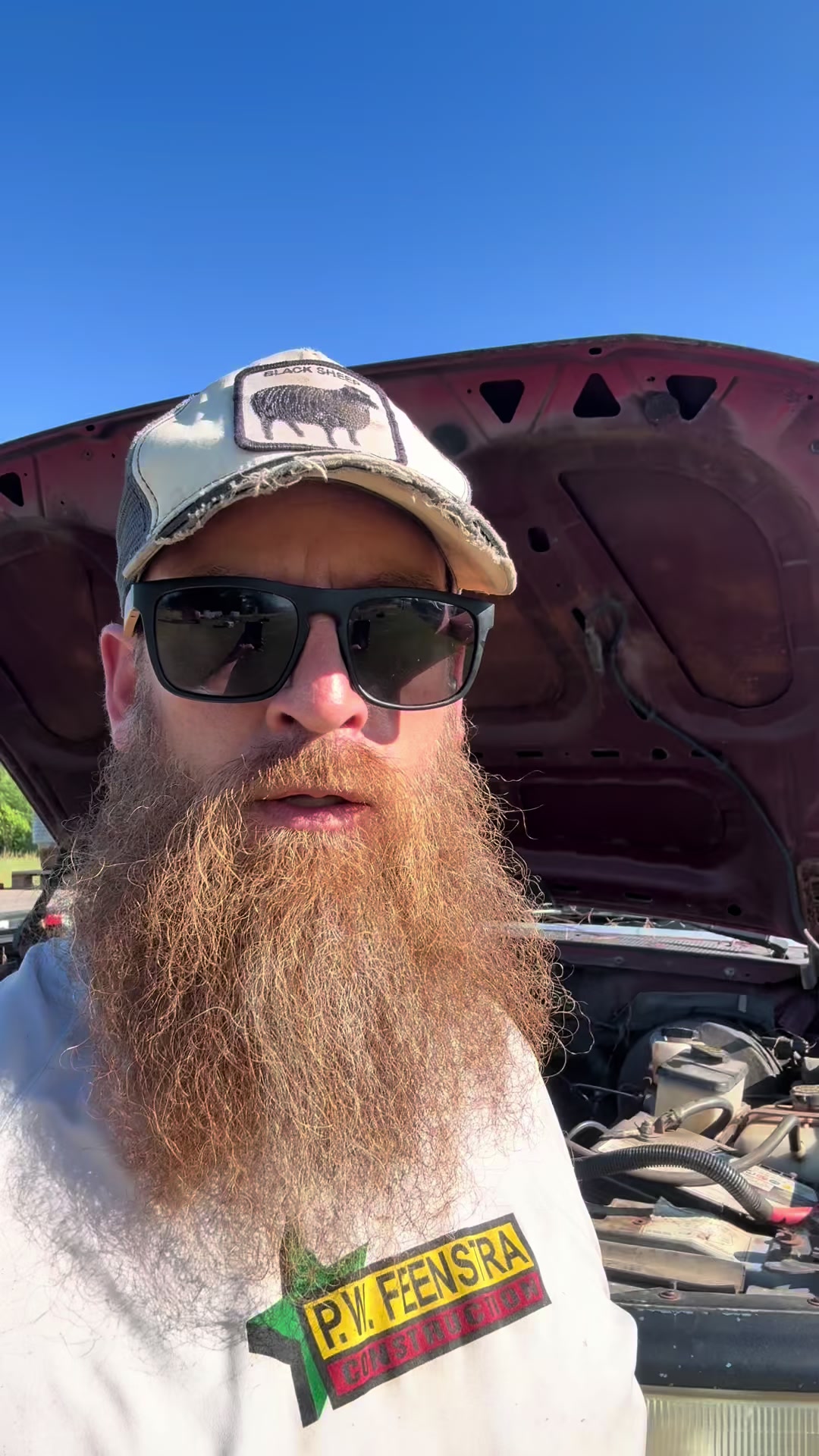 @Bearded bee man