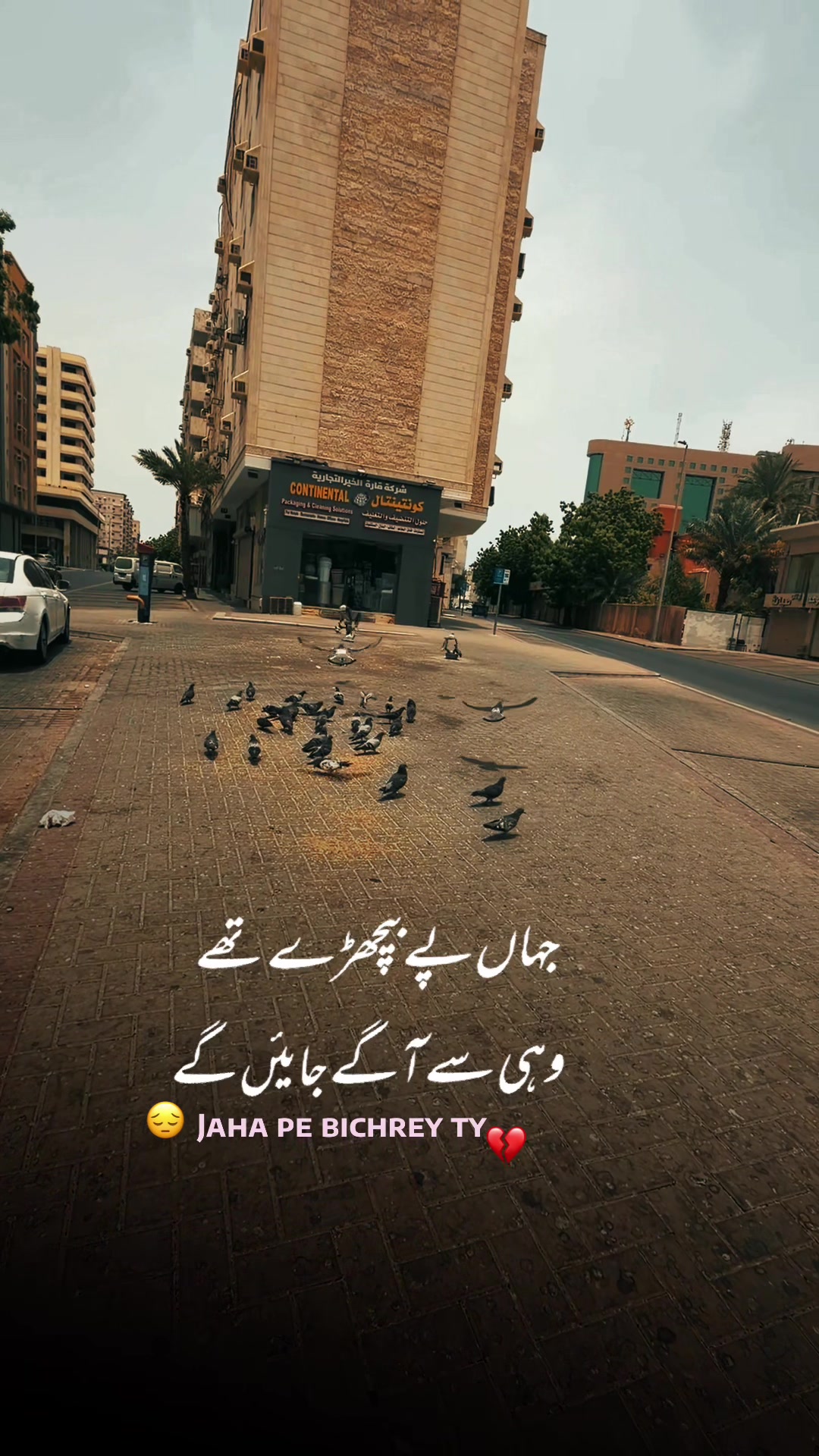 @Z. C R E A T I O N 🎥🎞️