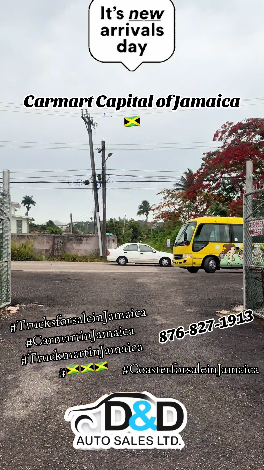 @D&D Auto Sales Ltd.