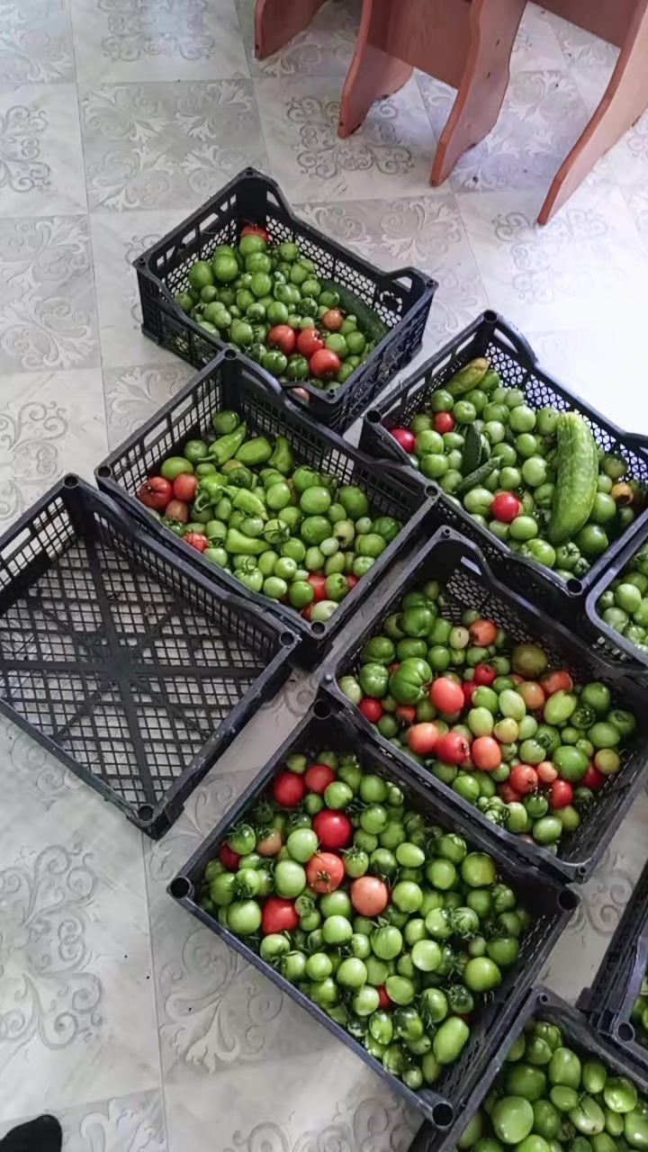 @Леська 🥰🥰🥰