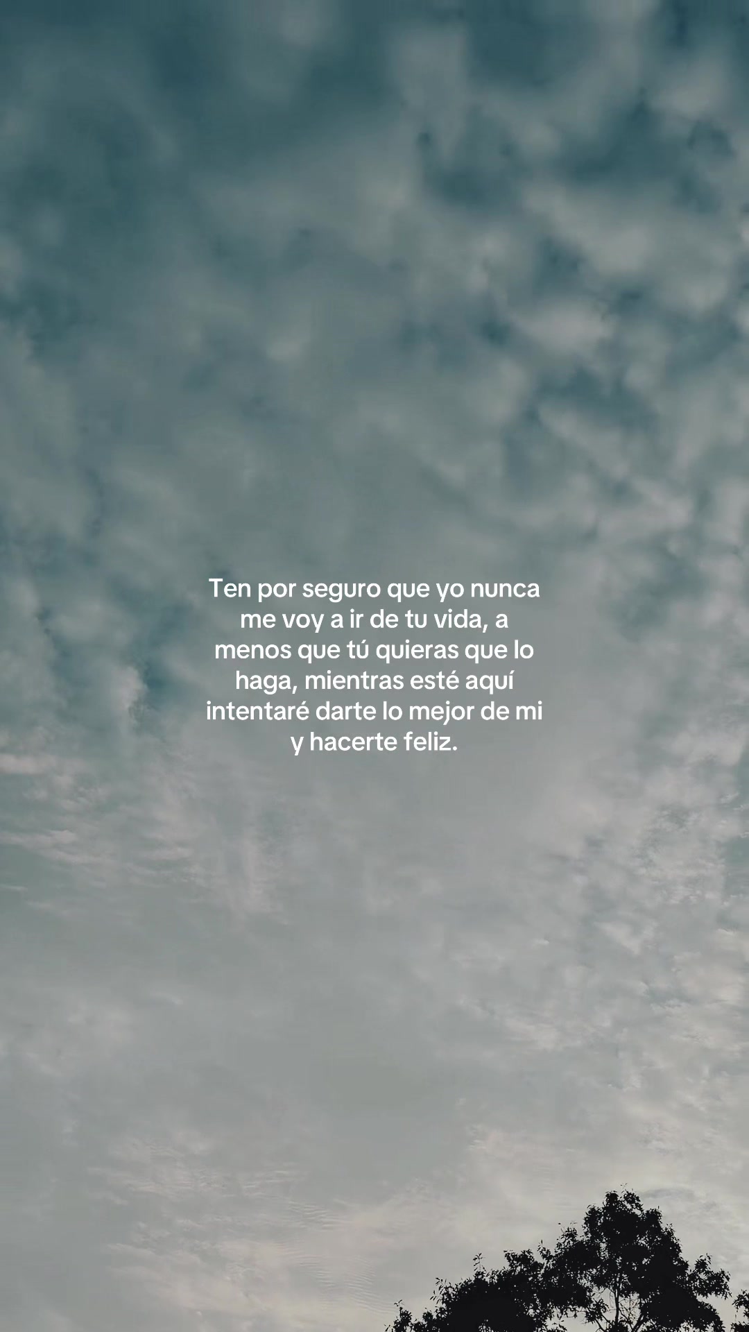@Frases de todo un poco...