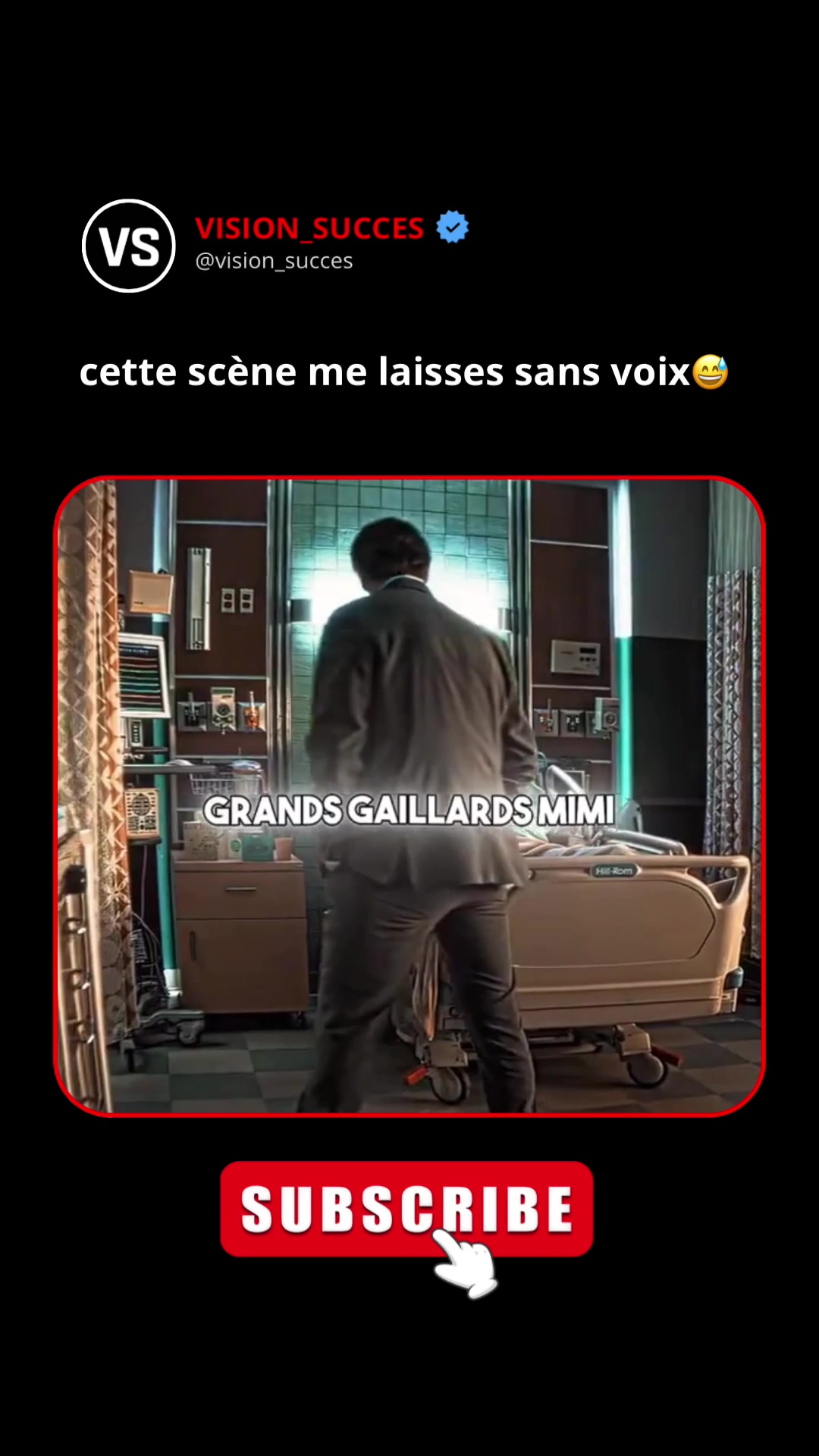@Vision_succ&egrave;s