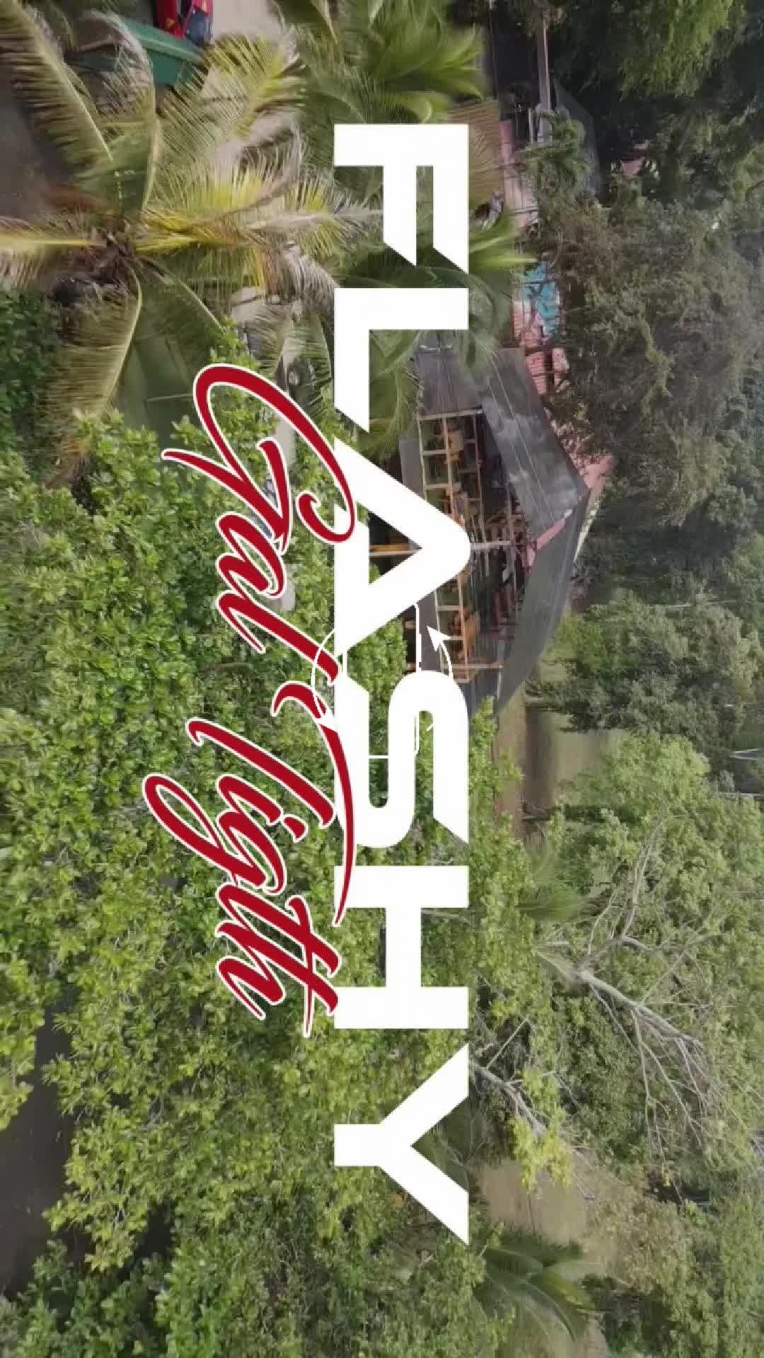 @Flashy Musick 🪐