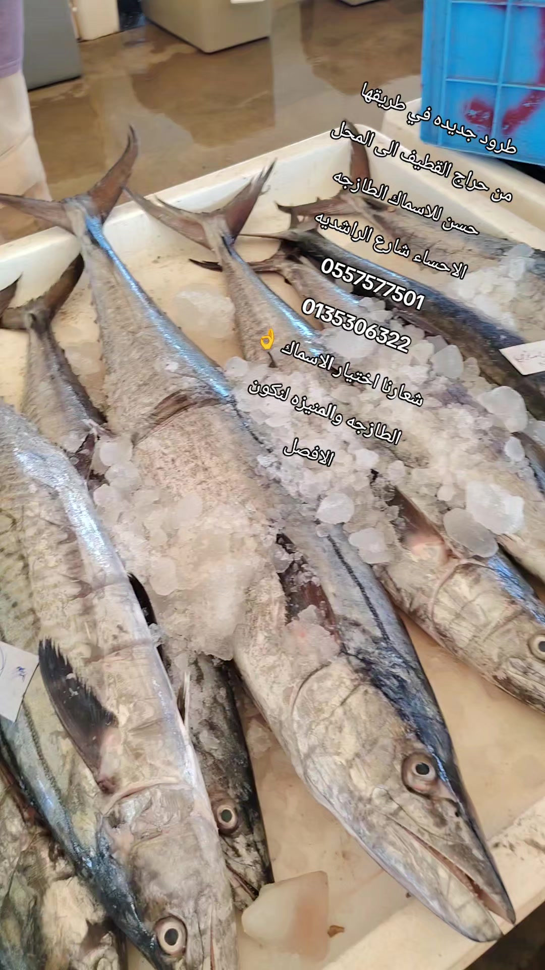 @لاين بحري
