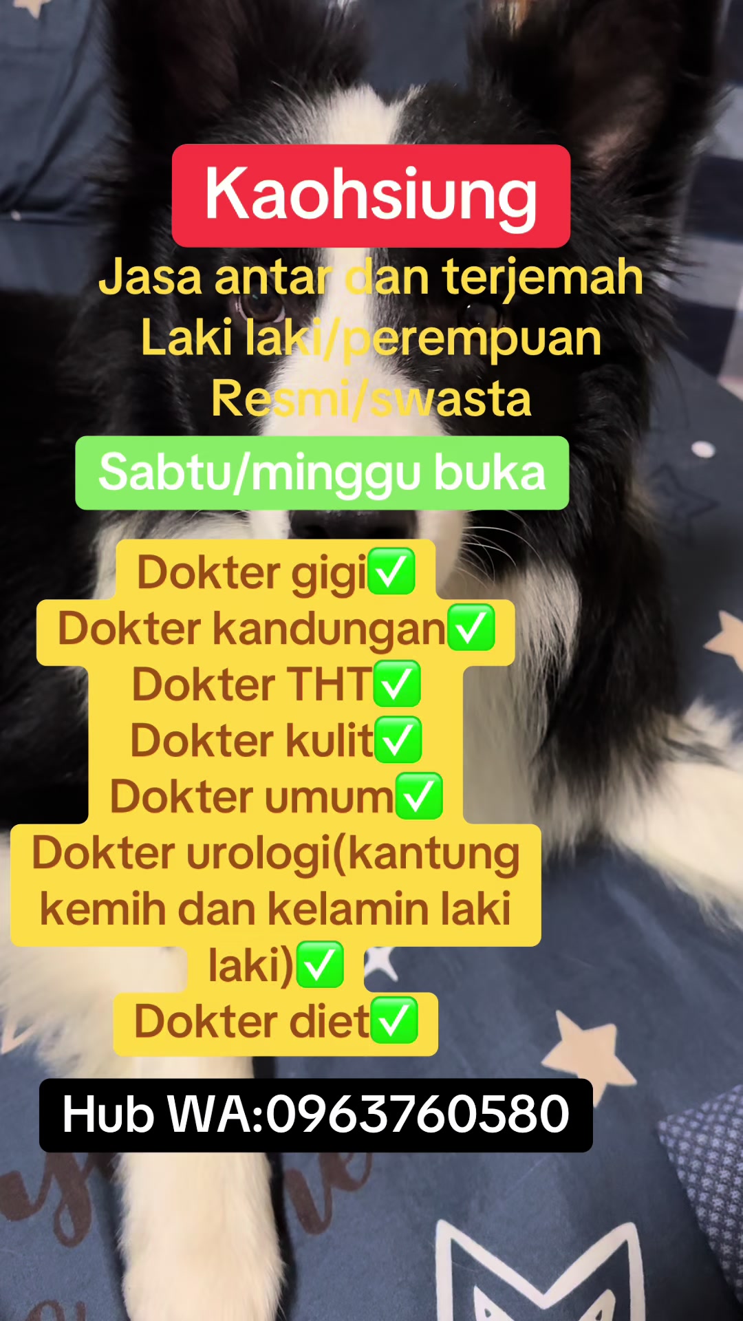 @susanti
