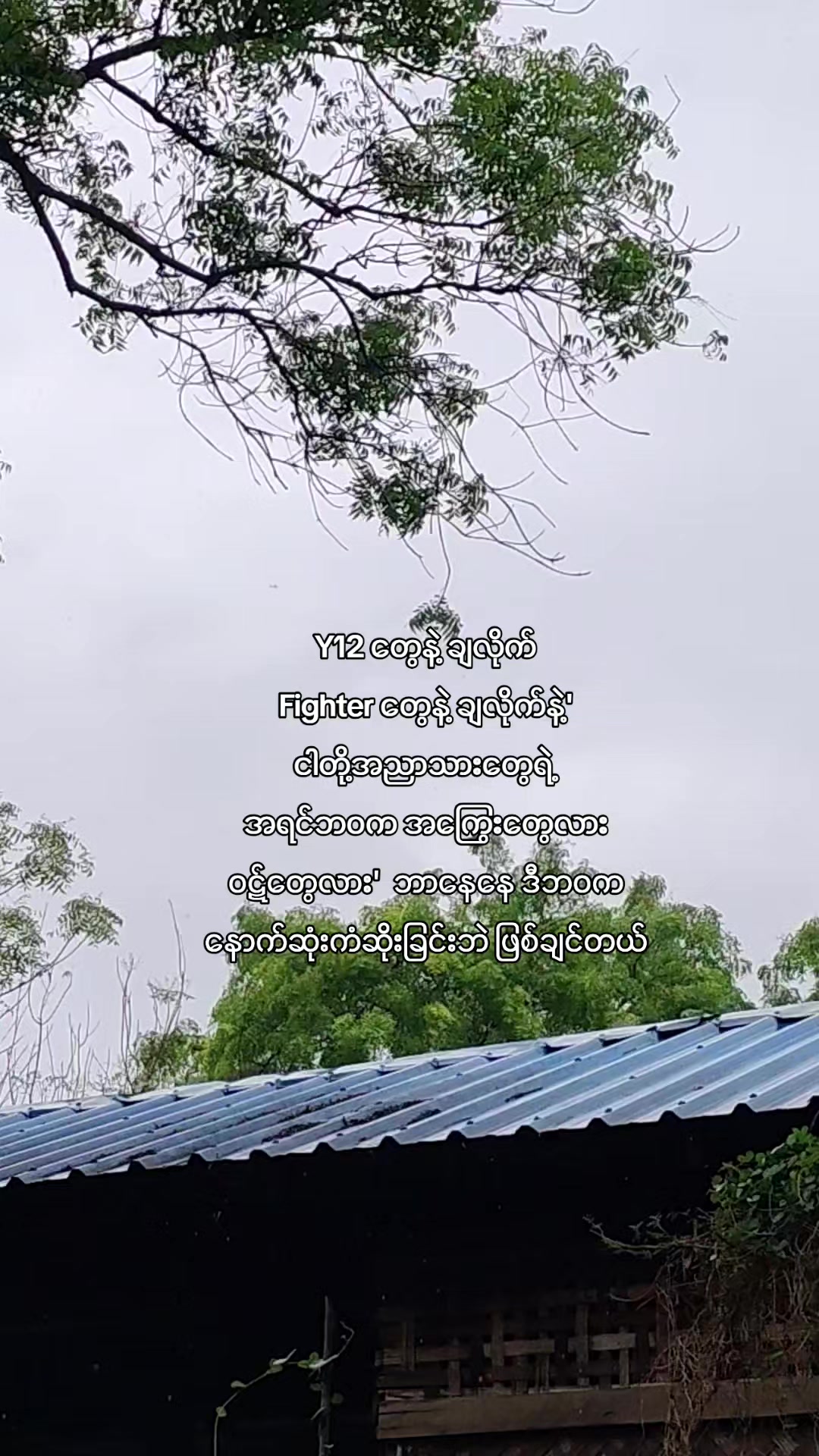 @Nyan Gyi