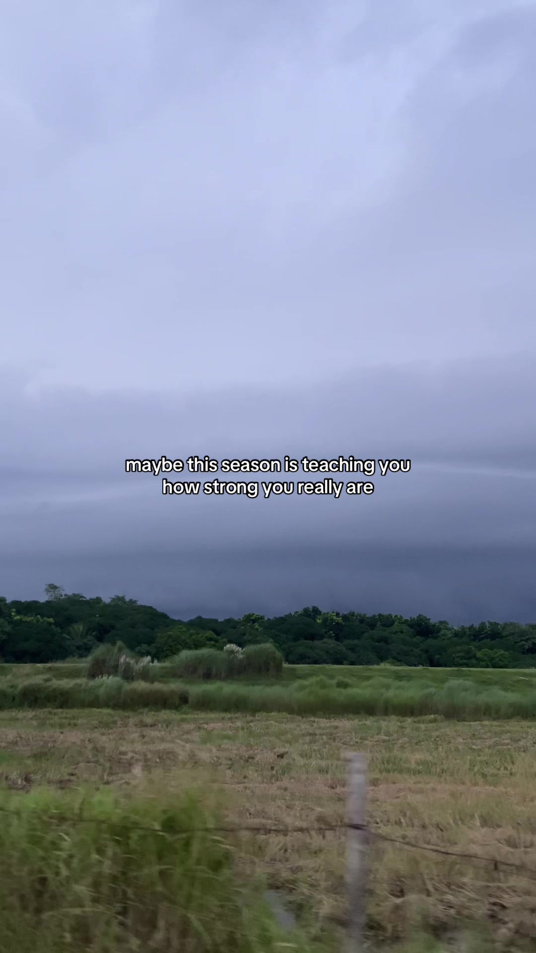 @sunlitsanctuary