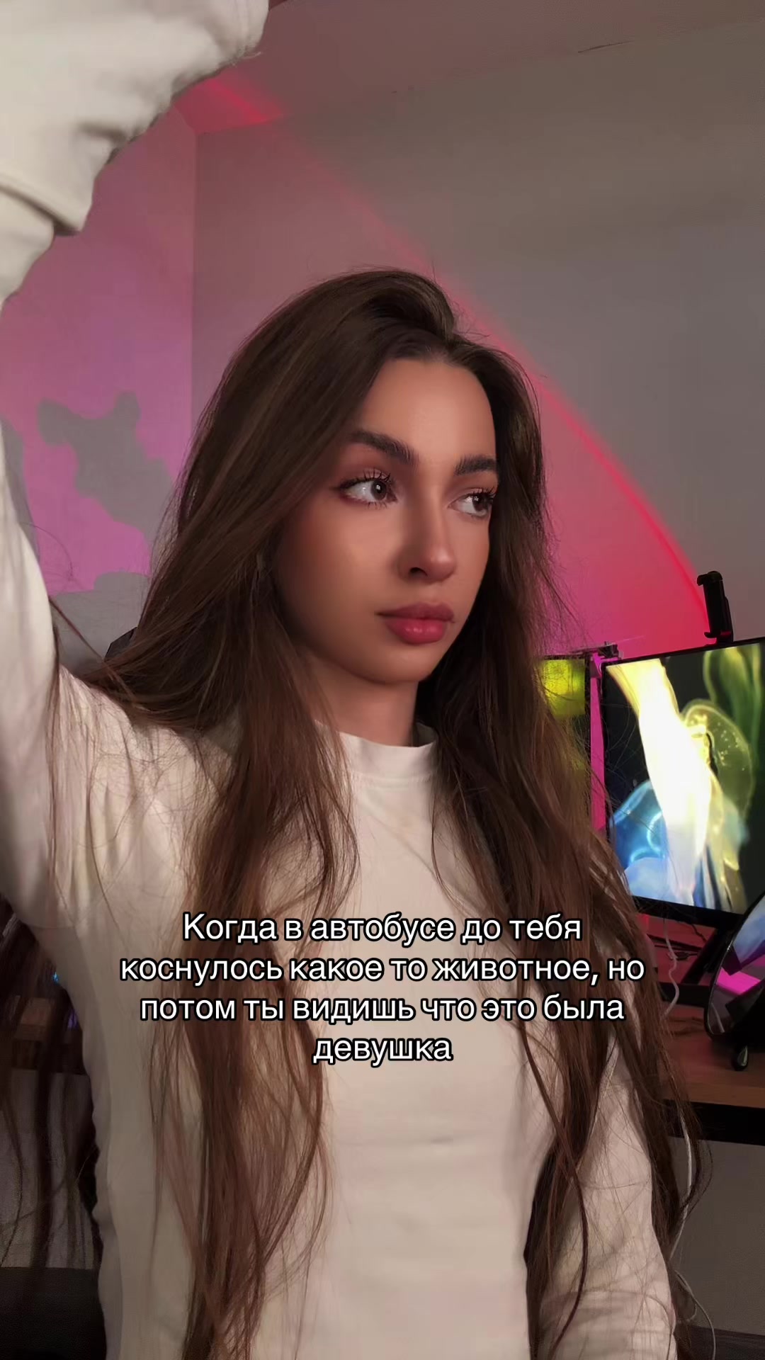 @dankoka