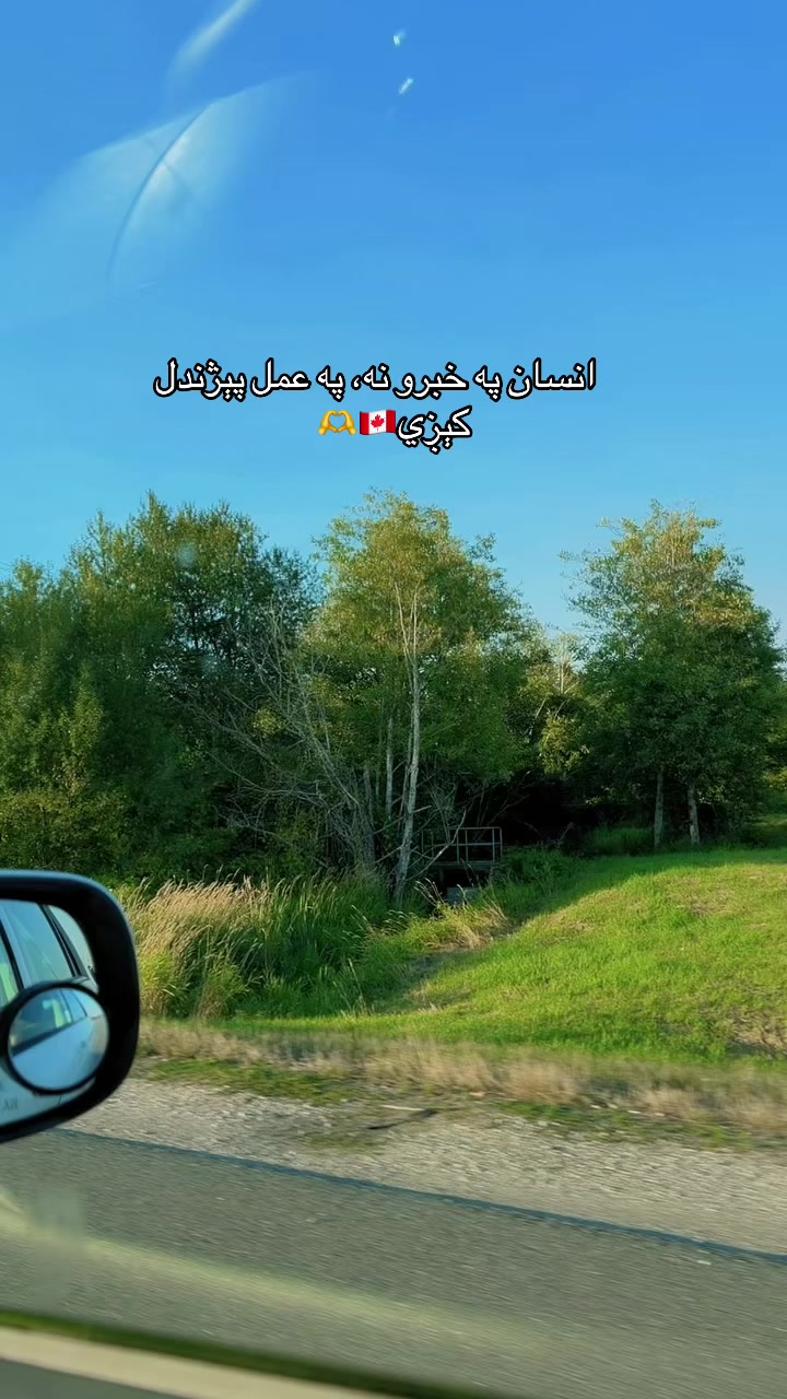 @Roya Kakar