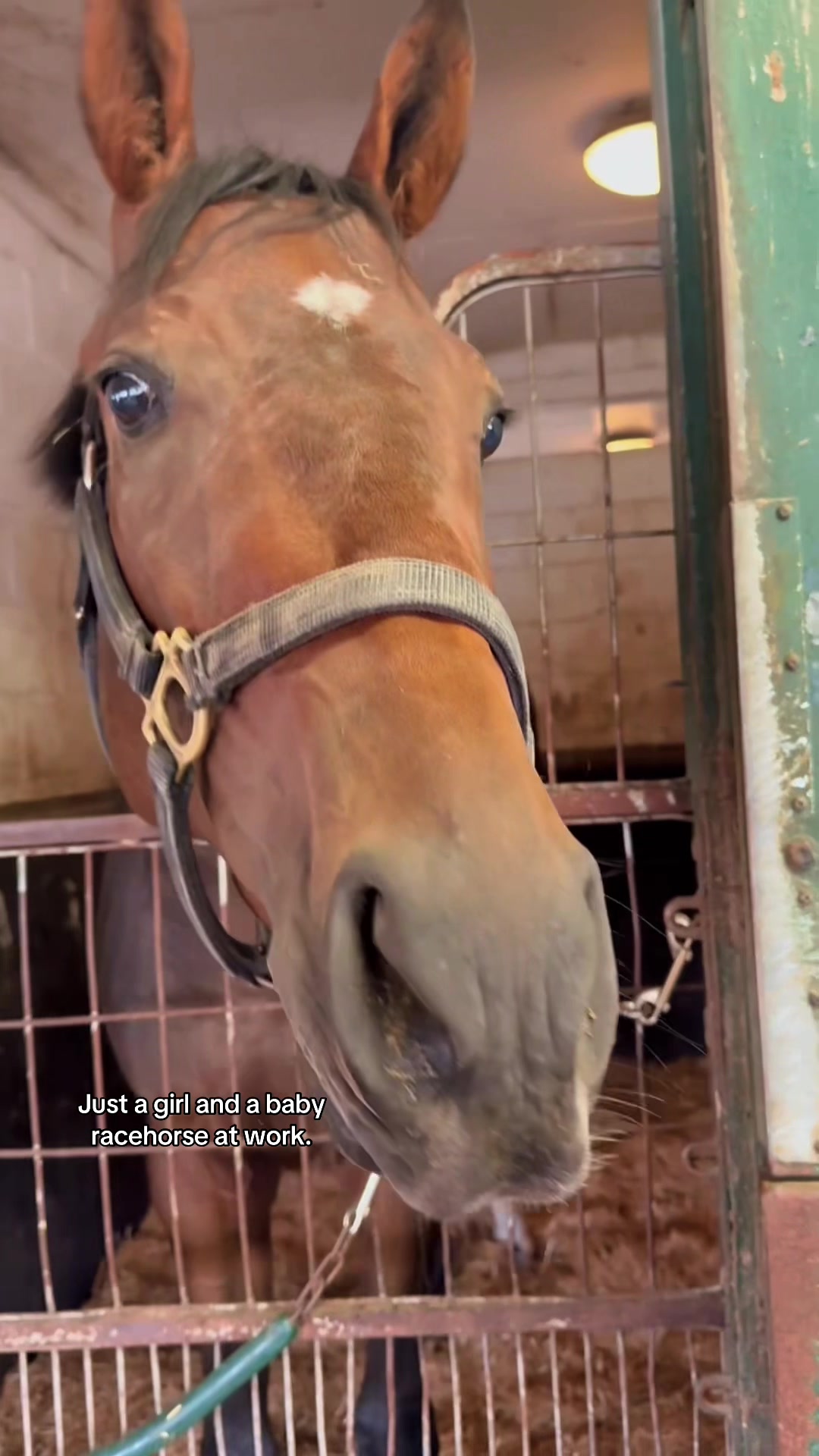 @Alpha Mare🇨🇦🏴󠁧󠁢󠁳󠁣󠁴󠁿