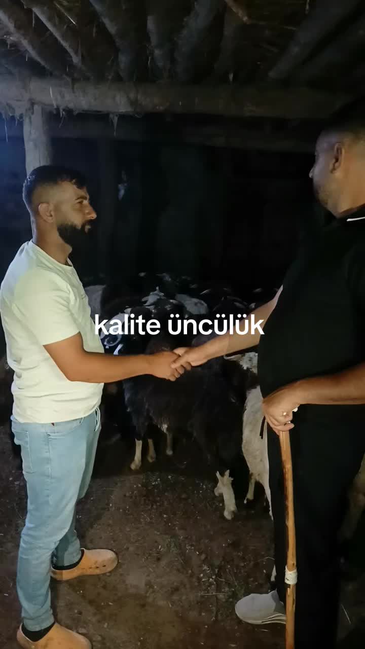 @NEVROZ KARATAY