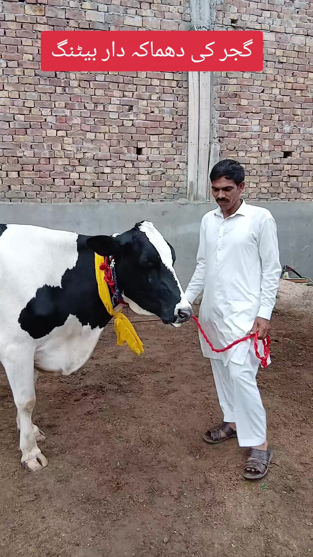 @Farming and Business Ideas