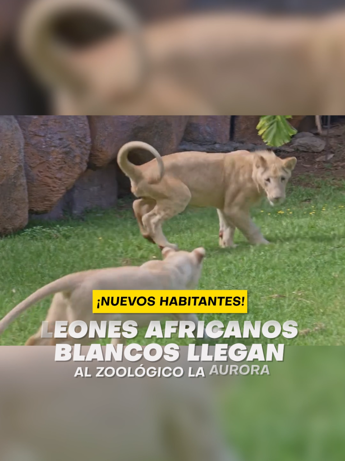 @Emisoras Unidas