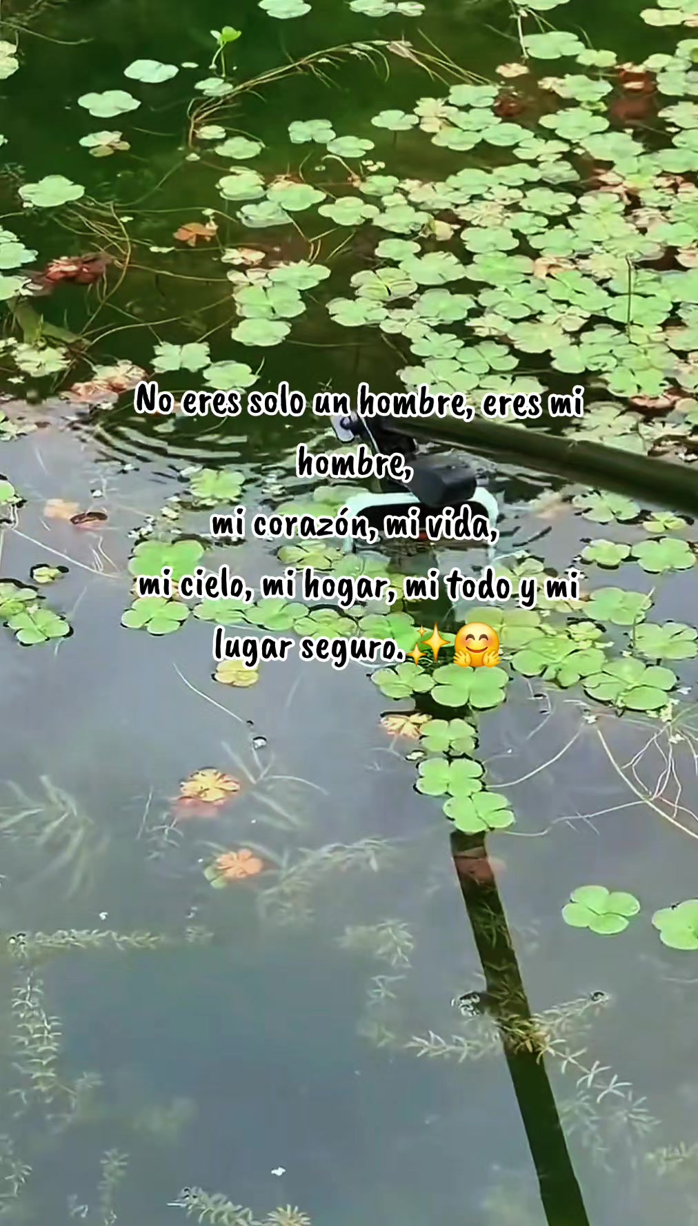 @Lilimaryoo❤