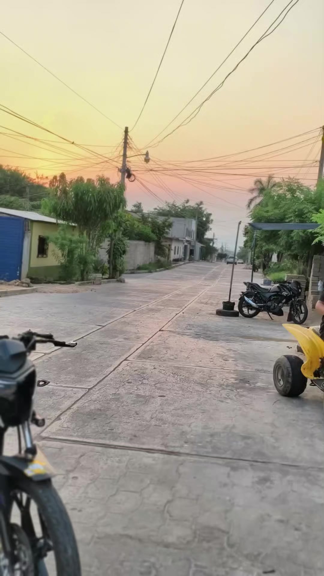 @EL_FLORES 🐉