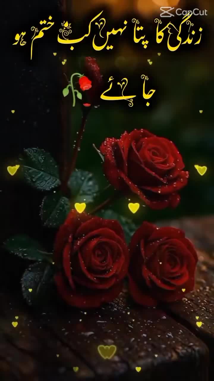 @Nazim ali 6161