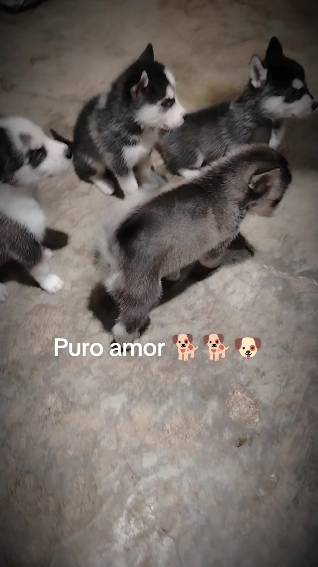 @Aurora Lopez