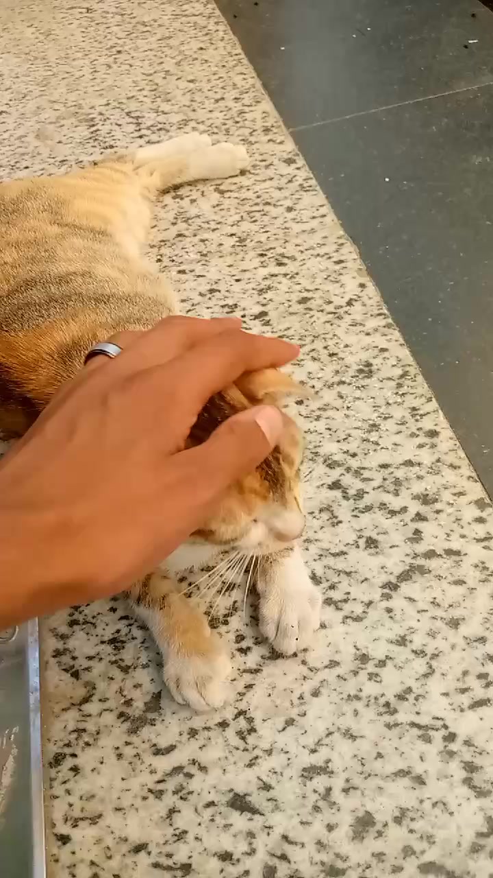 @عمر عجيبه$