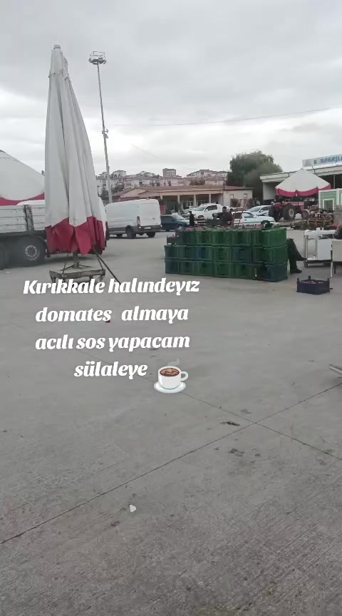 @aynurankaralı2
