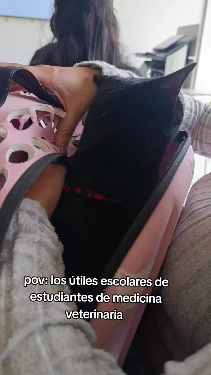 @zuleima_jaimes 🧿