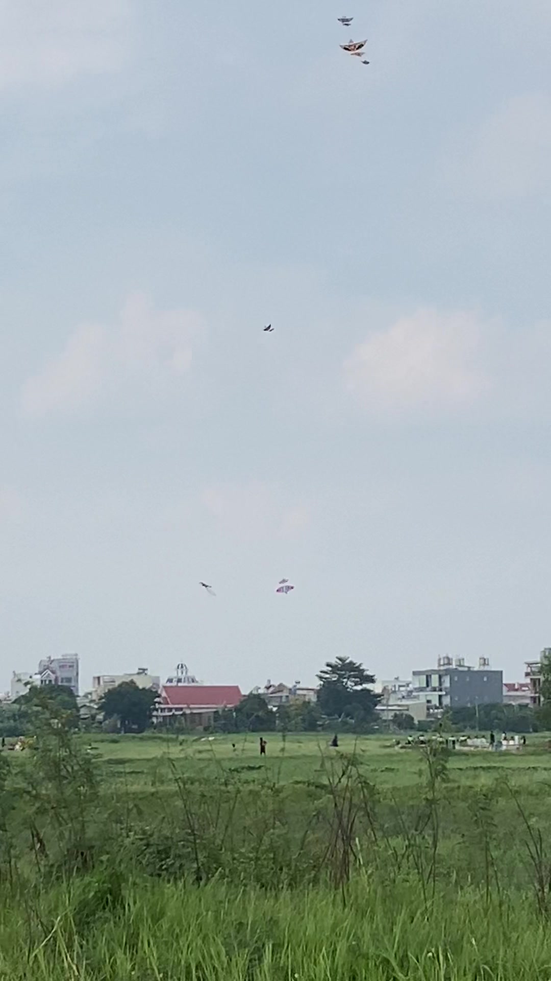 @Thả diều cùng Lợi