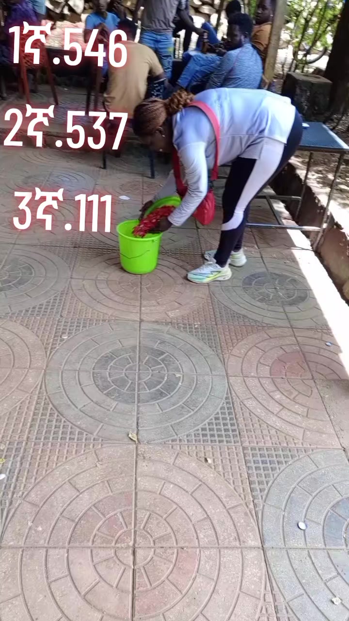 @@ባርች_ኮንሶ_እጣ