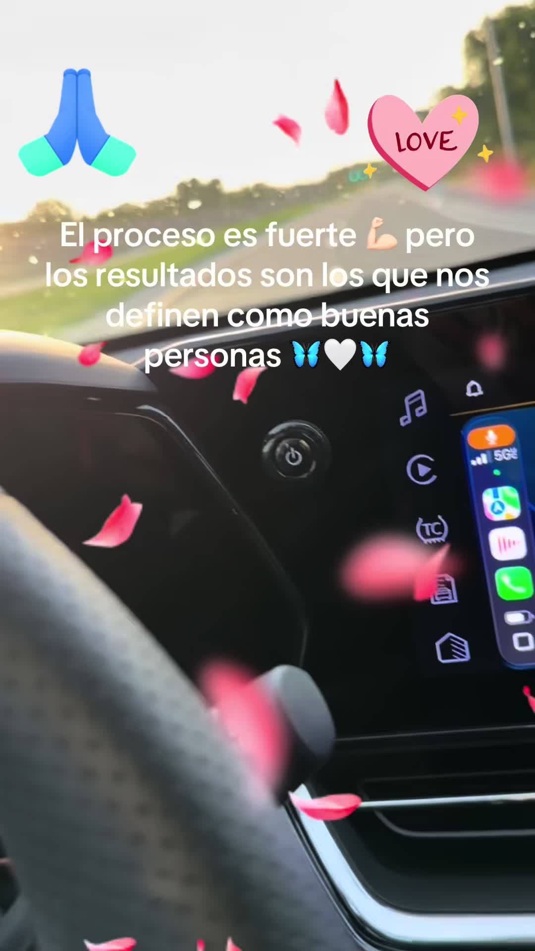 @lamariposabella🤍🦋🤍