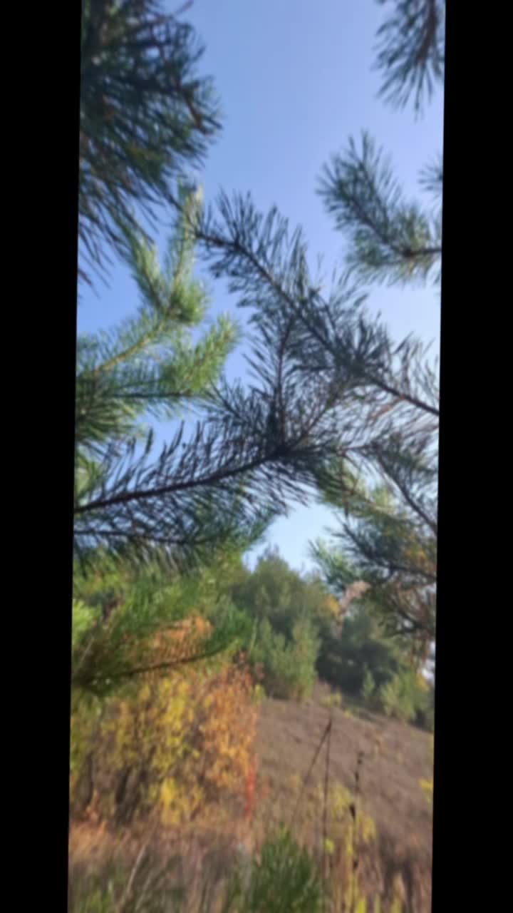 @Іришка