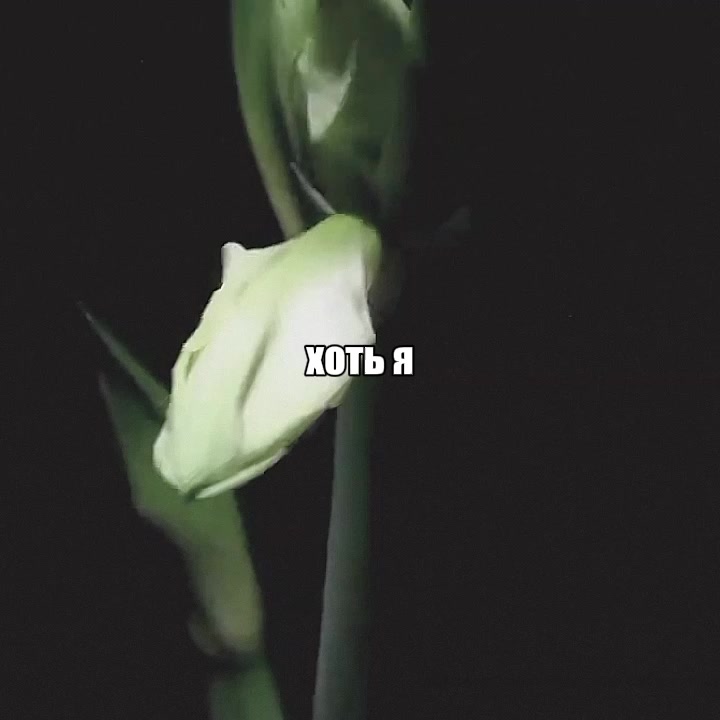 @Сашка Кудряш