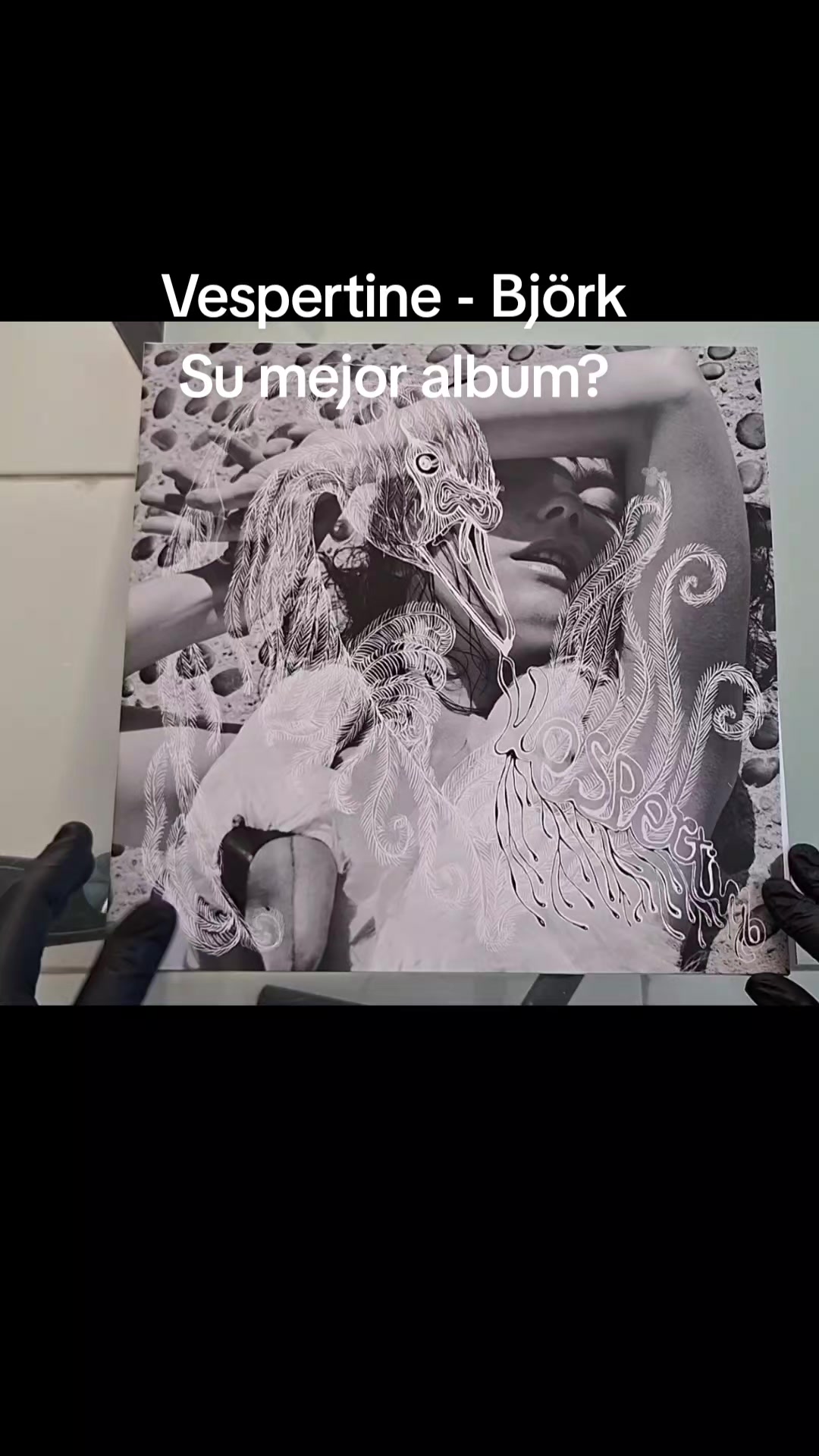 @Vinilo Con Estilo