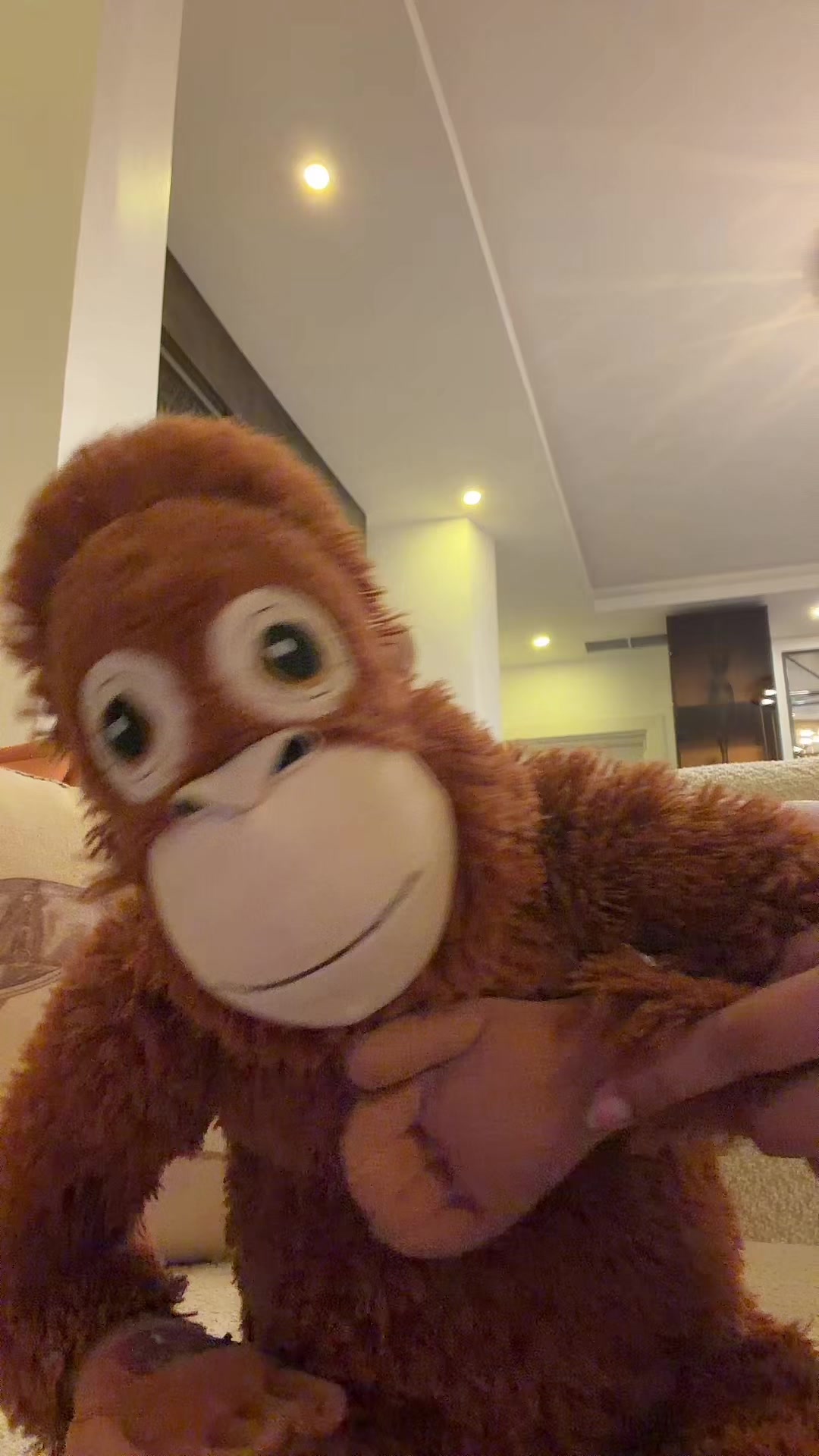 @LaMonkeyFamilia