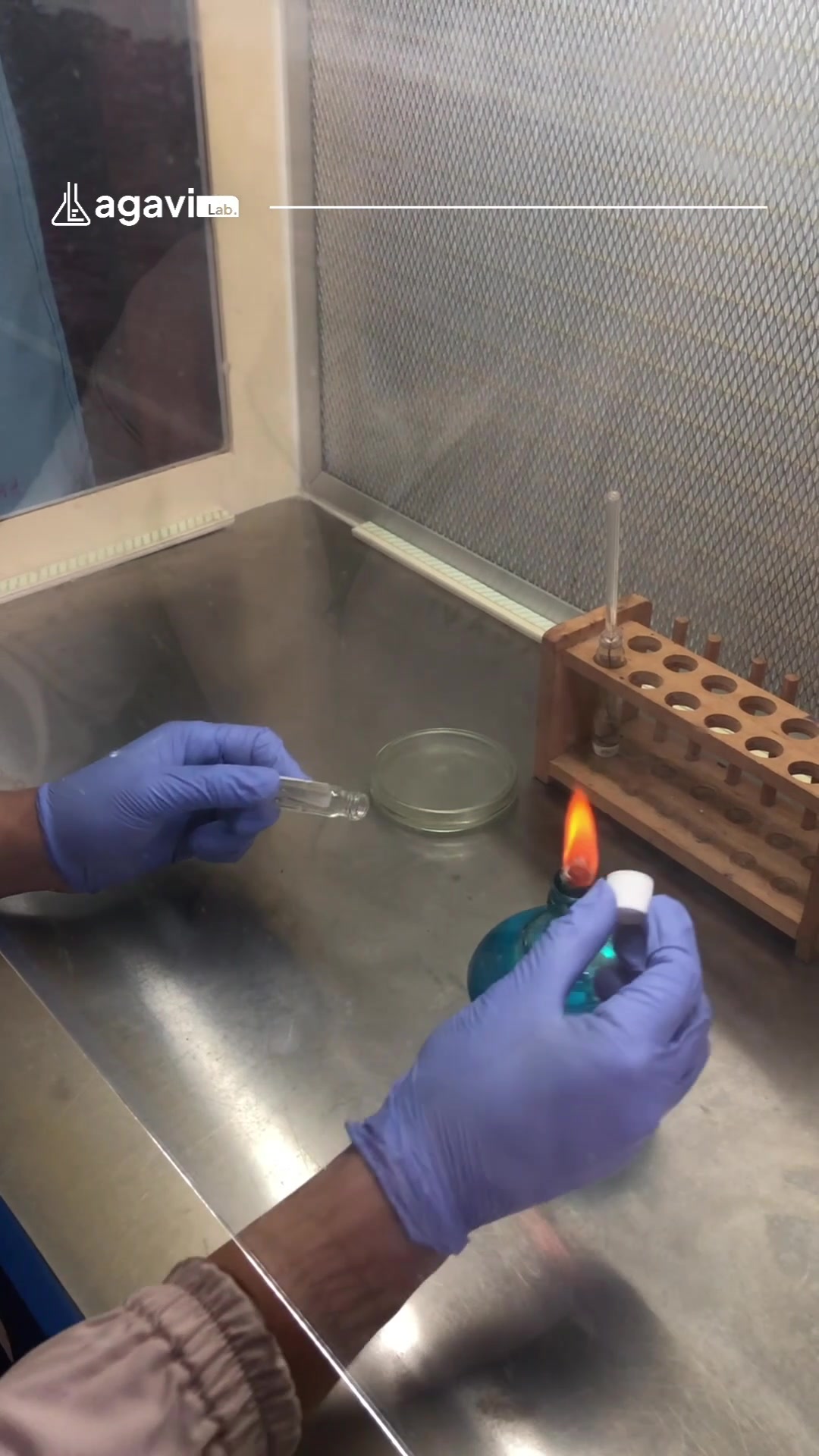@Agavi Lab
