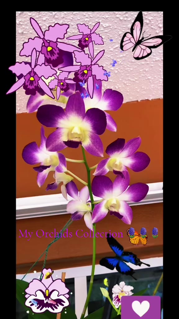 @Jacquie28