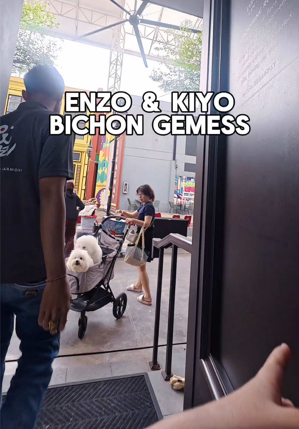 @KAZU