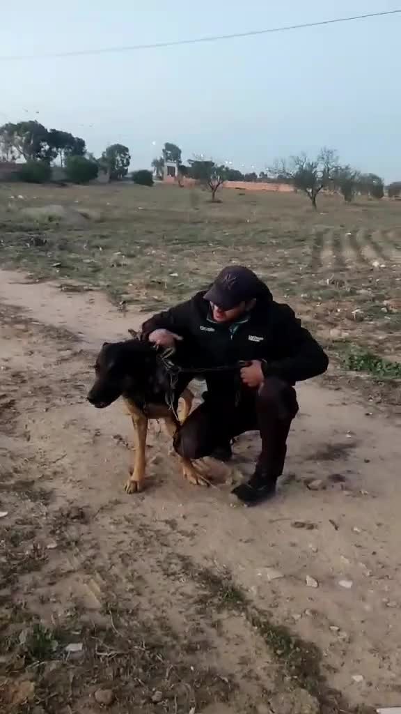 @فيومي ذهبي صفاقس