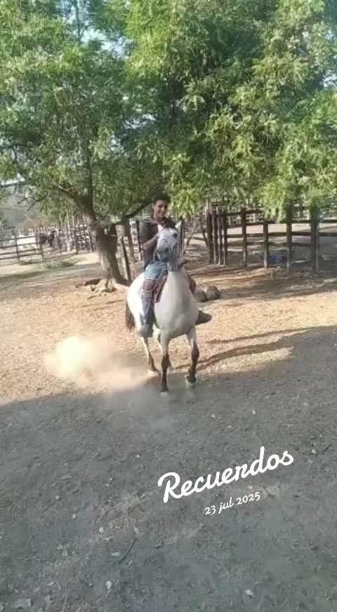 @Aldo Antonio210