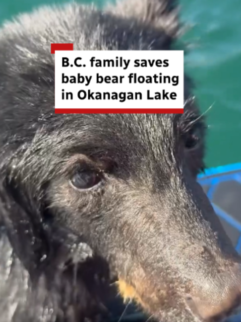 @CBC British Columbia