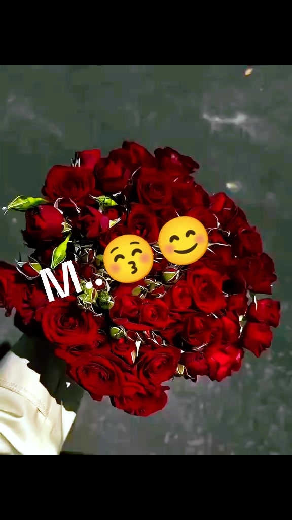 @༺ 𒆜𝓜𝓾𝓻𝓽𝓸𒆜 ༻