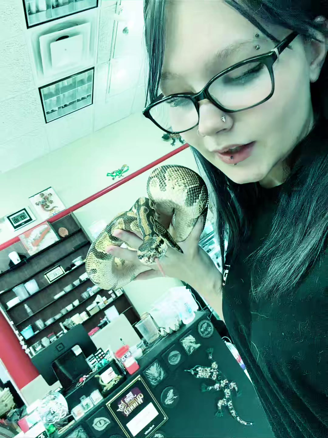 @Witheredbat🦇🖤...💙🦈