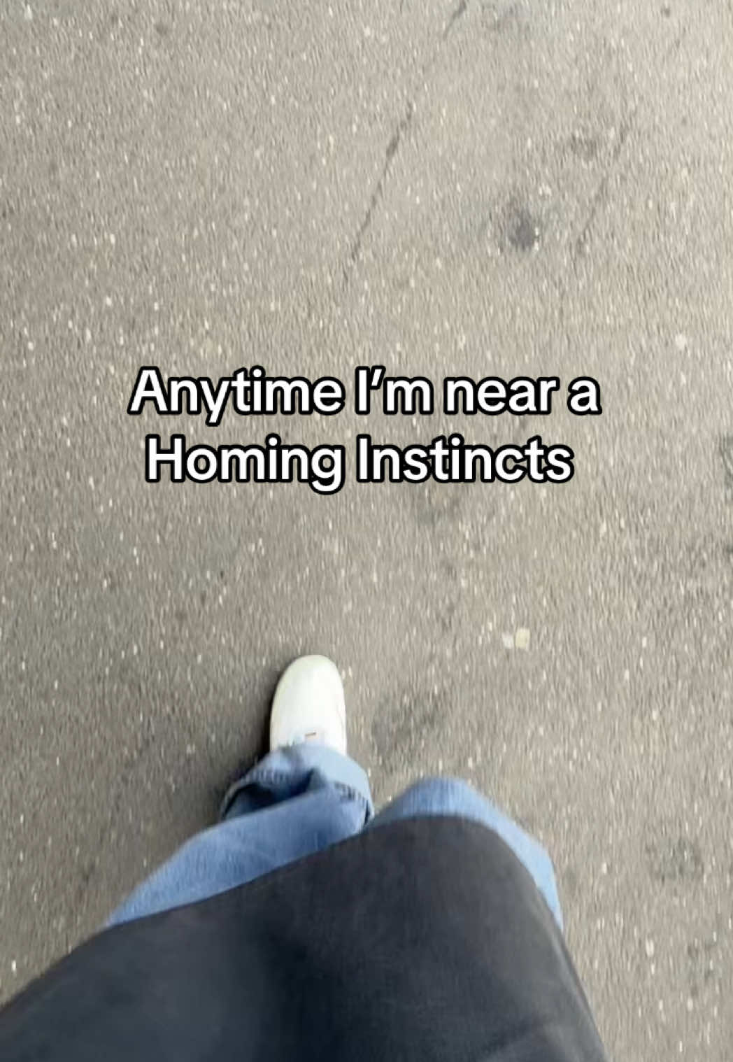 @Homing Instincts