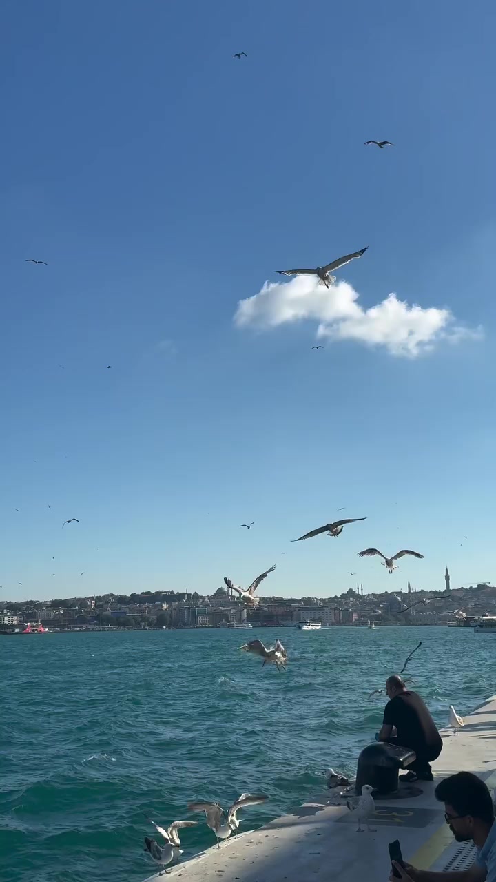 @🇹🇷AHMED🇹🇷