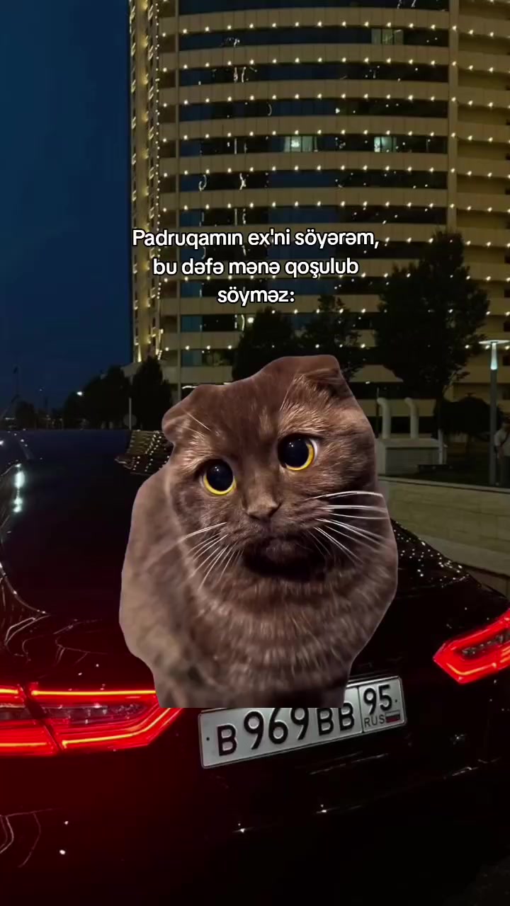 @𝓛𝓮𝓸𝓹𝓪𝓻 🐆