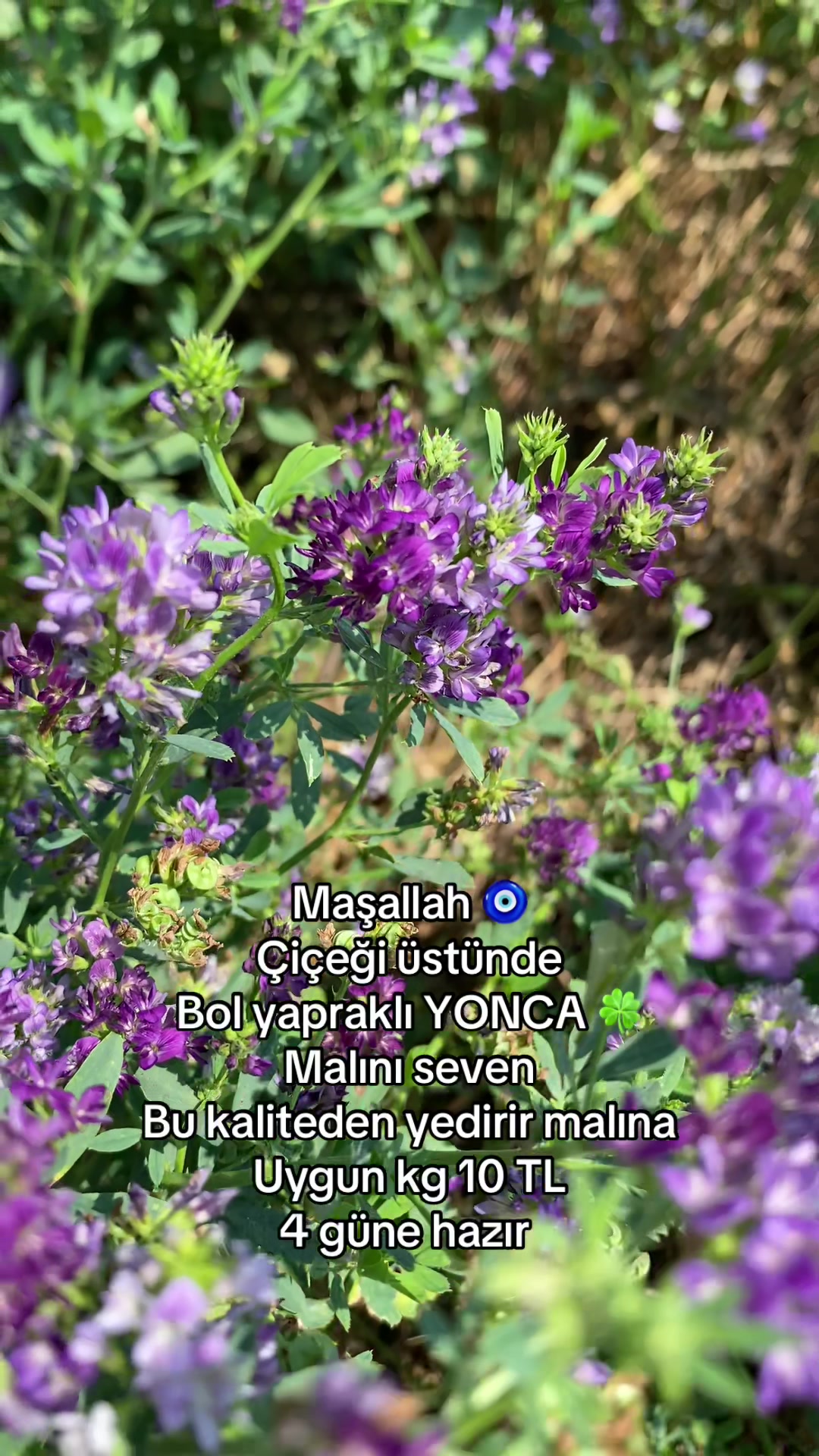 @G&uuml;ven897