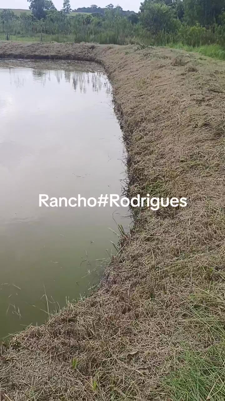@FOGUINHO 🔥