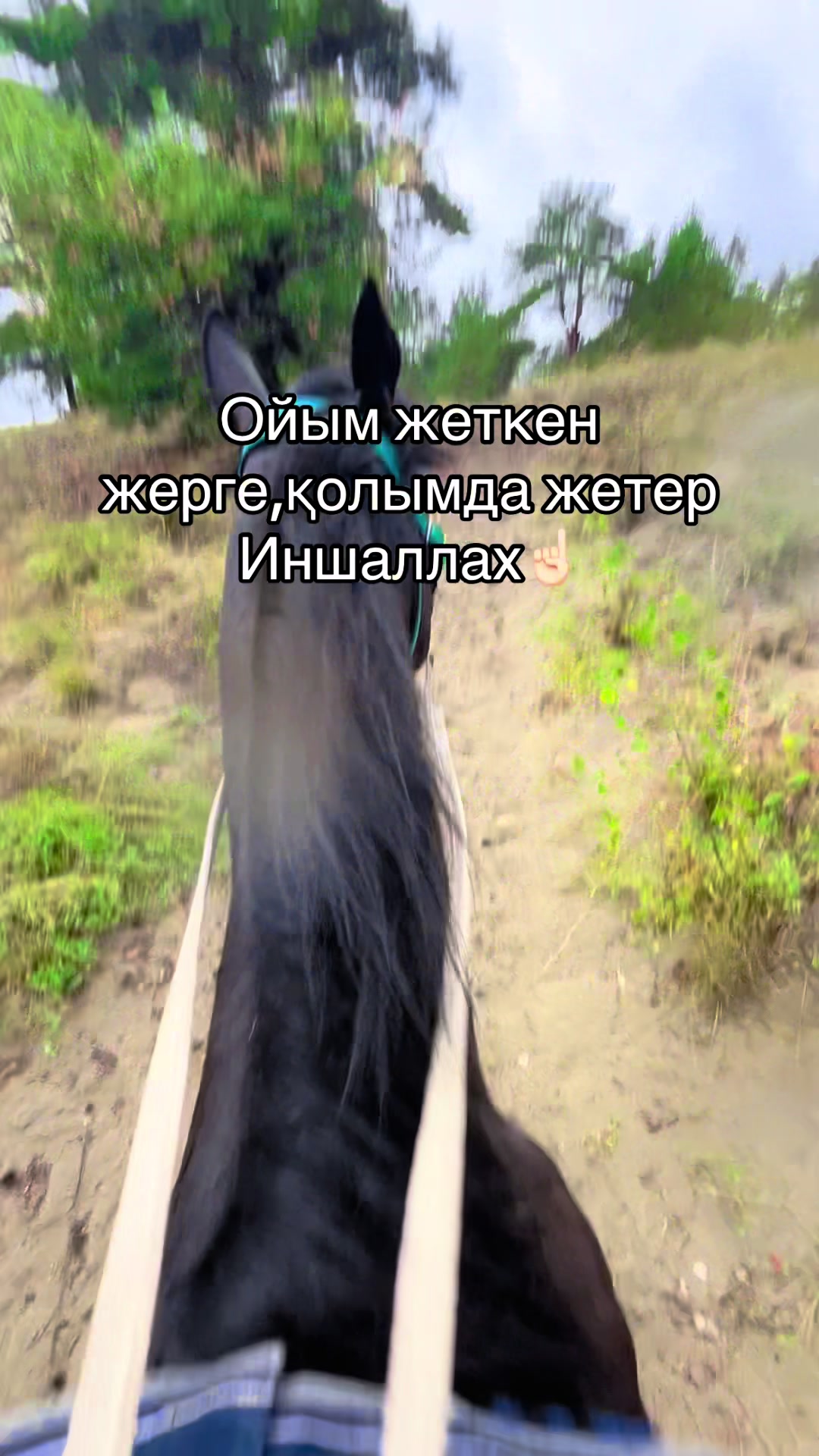 @Ergaliev_16
