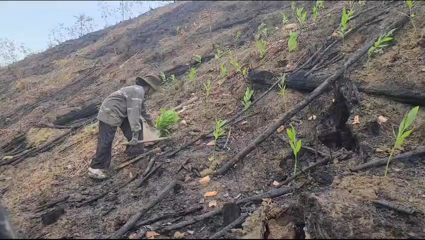 @Mỷ🍀