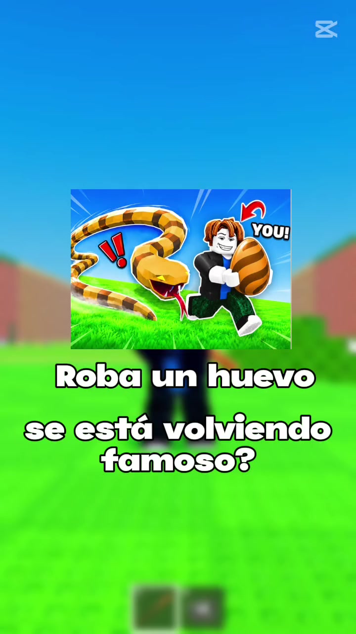 @Tocinacio